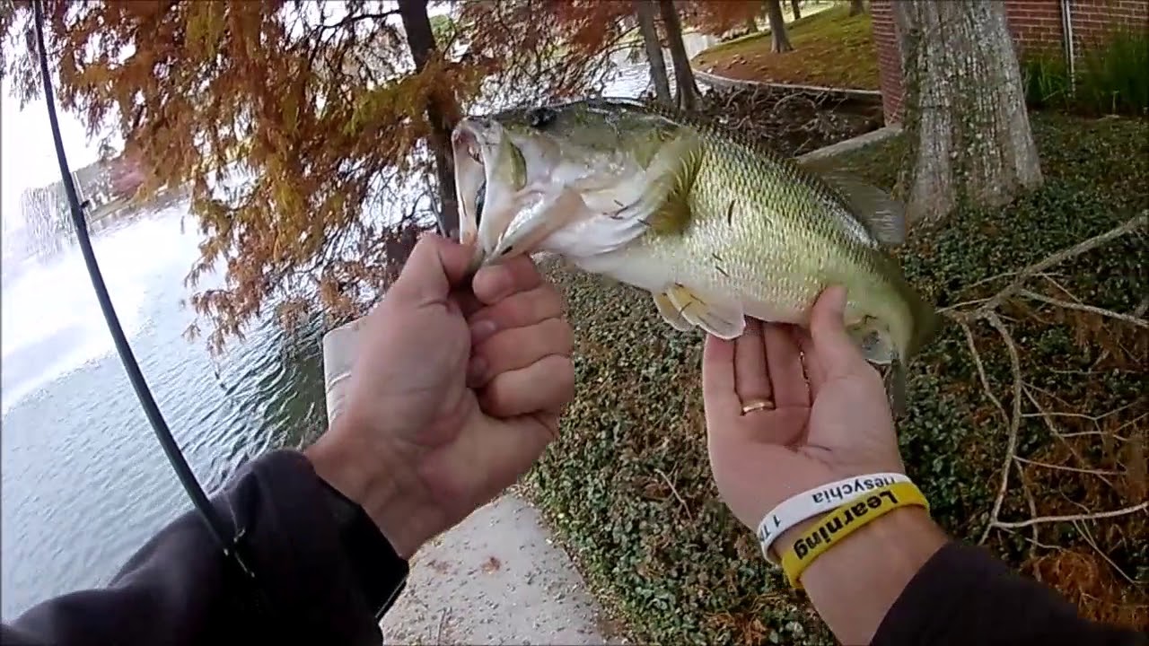 Fishing Cypress in December