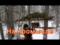 проверка капканов на куницу