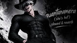 Pitbull - Guantanamera (Shes Hot)Slowed & Reverb