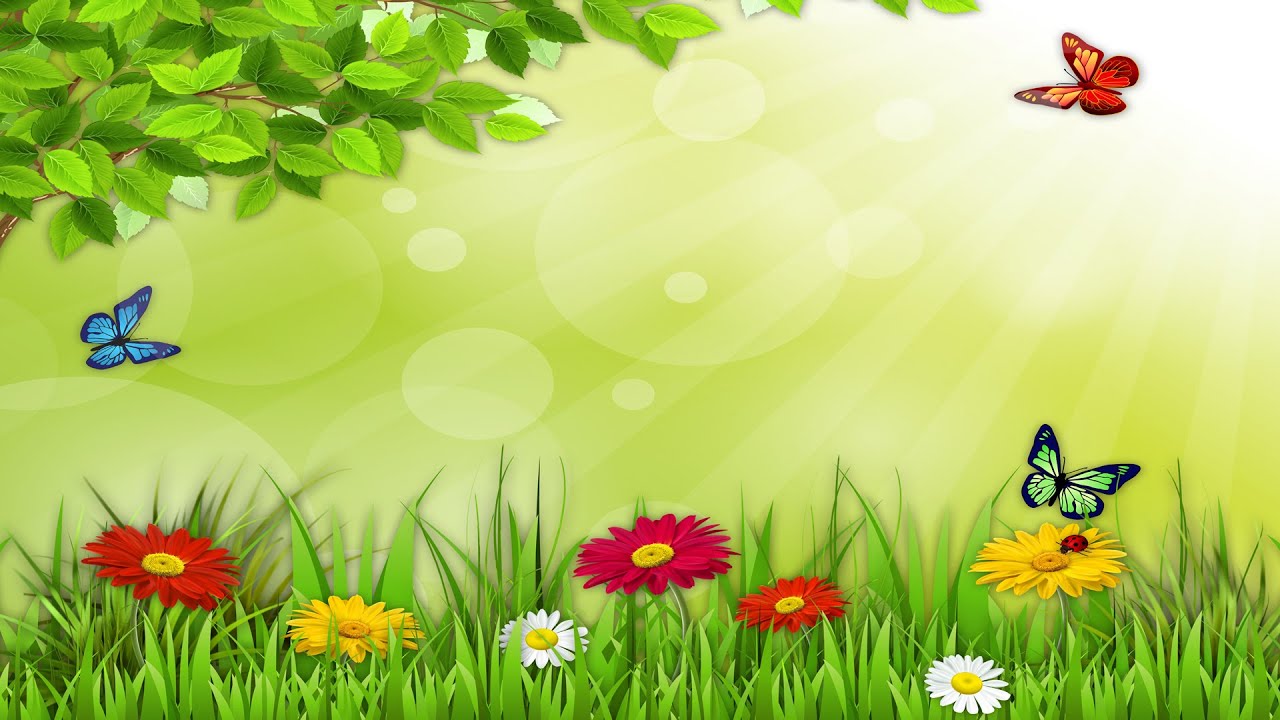 08 05 2025 Мамине свято СадОк Здорової Родини