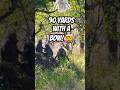 Greatest Archery Shot Of All Time!?😳🤯 #archery #bowandarrow #accurate #crazy #wild