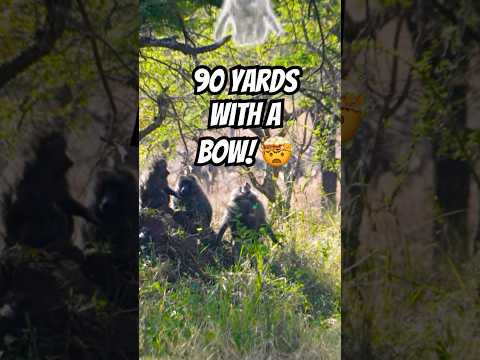 Greatest Archery Shot Of All Time!?😳🤯 #archery #bowandarrow #accurate #crazy #wild