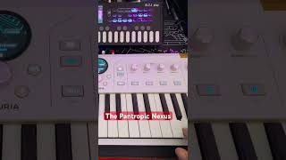 Arturia Astrolab37 and ELZ_1 Play live jam