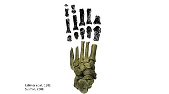 University of California Television (UCTV)