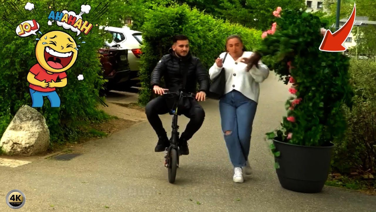 They Thought It Was Just a Tree — Big Mistake