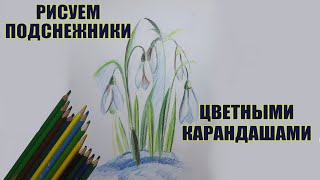 Как нарисовать подснежники цветными карандашами | урок изо