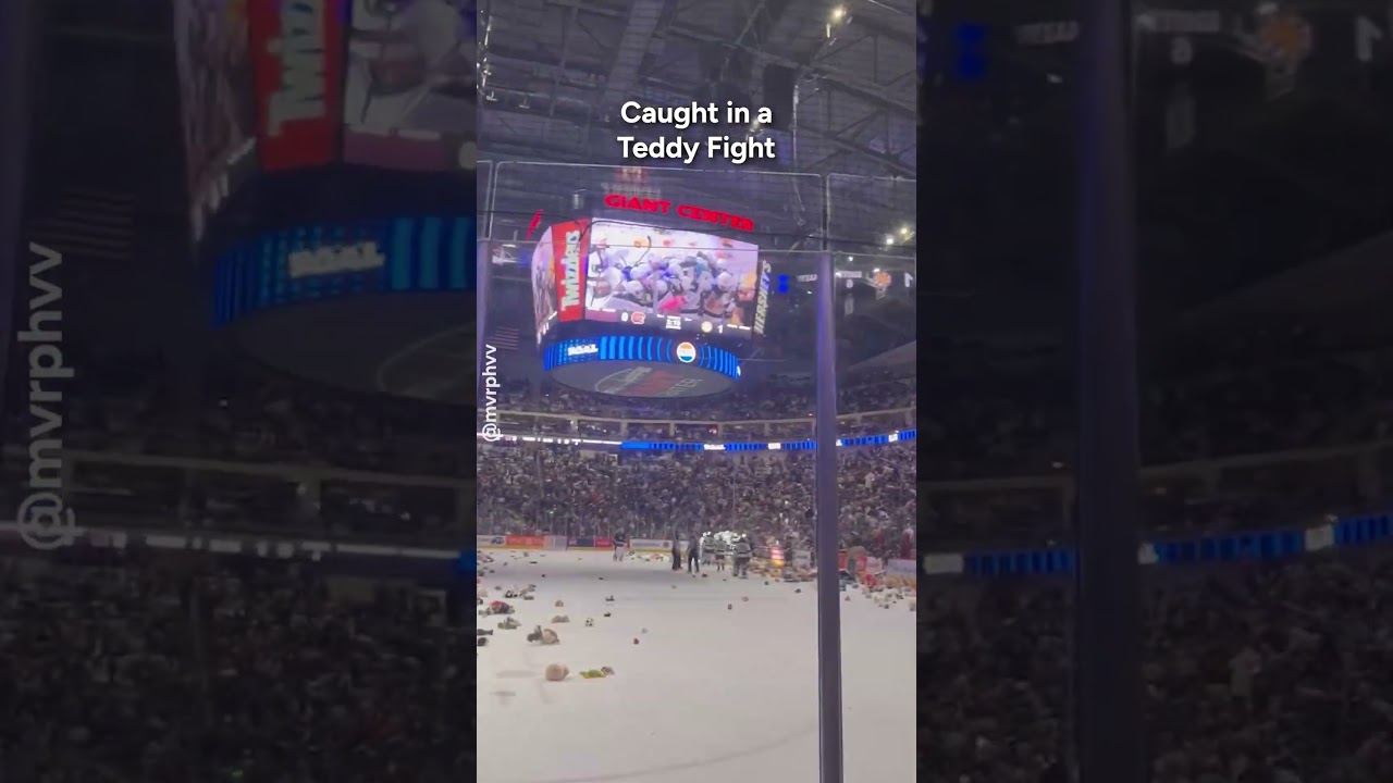 Caught in a Teddy Fight
