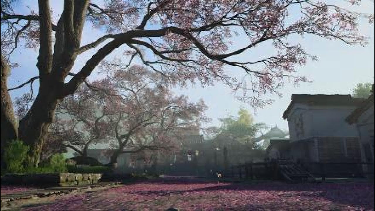 ASSASSIN'S CREED SHADOWS - 47 эпизод: Охота за убийцами