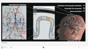 EEG and Action Potentials