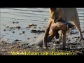 Мусоргский фрагмент классической музыки Хованщина