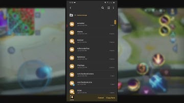 FANNY LIGHTBORN SKIN SCRIPT | NO BAN | UNDETECTED | NO PASSWORD