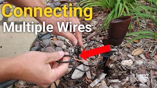 How to connect multiple wires | Landscape Lighting