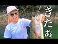 レイラ✨️K9使ってみた
