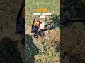अब तक का सबसे बेहतर 3 hp 2 strok powerweeder #power_tiler_engine #youtube_shorts