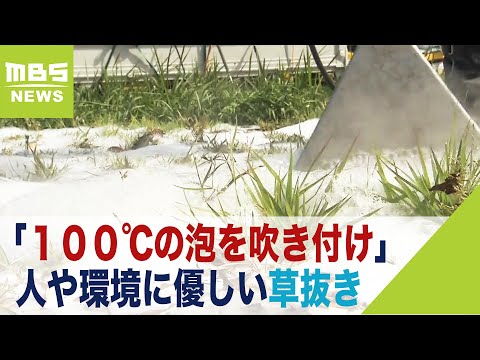 「１００℃の泡を吹き付けて草抜き」１本ずつ抜く手間省く『雑草処理技術の実証実験』（2021年9月28日）