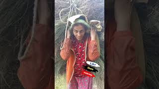 गाजियो बोक्दै | Village Life In Nepal | Nepali Video | Nepali Shorts | @hariprasadjoshi1