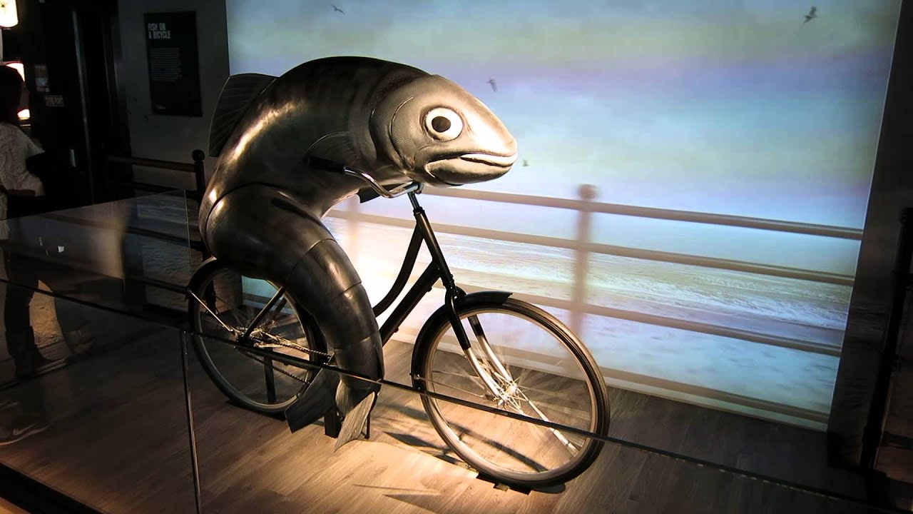 Guinness Storehouse Cycling Fish Youtube throughout Cycling With Fish