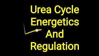 Urea cycle - Energetics and Regulation