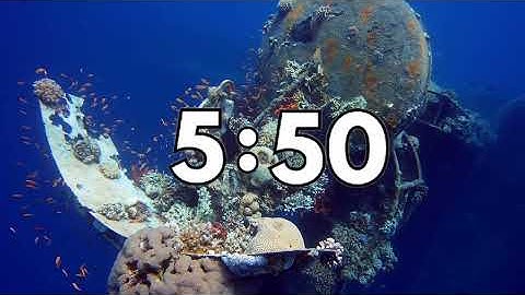 10 Minute Timer With Calming Music - Clown Fish - Ocean Fish - Sharks