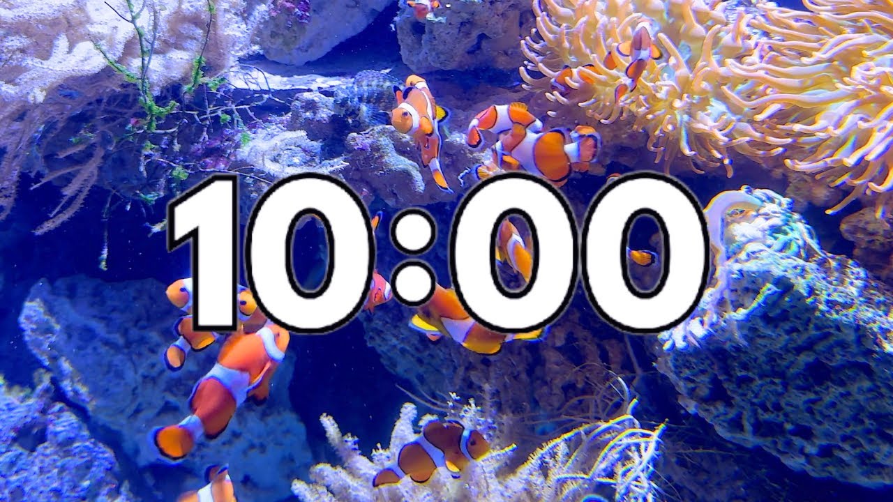 10 Minute Timer With Calming Music - Clown Fish - Ocean Fish - Sharks
