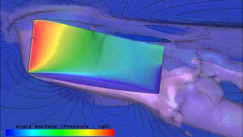 OpenFOAM (interFoam-LES) Wigly 30 deg free surface - SungTaekPark
