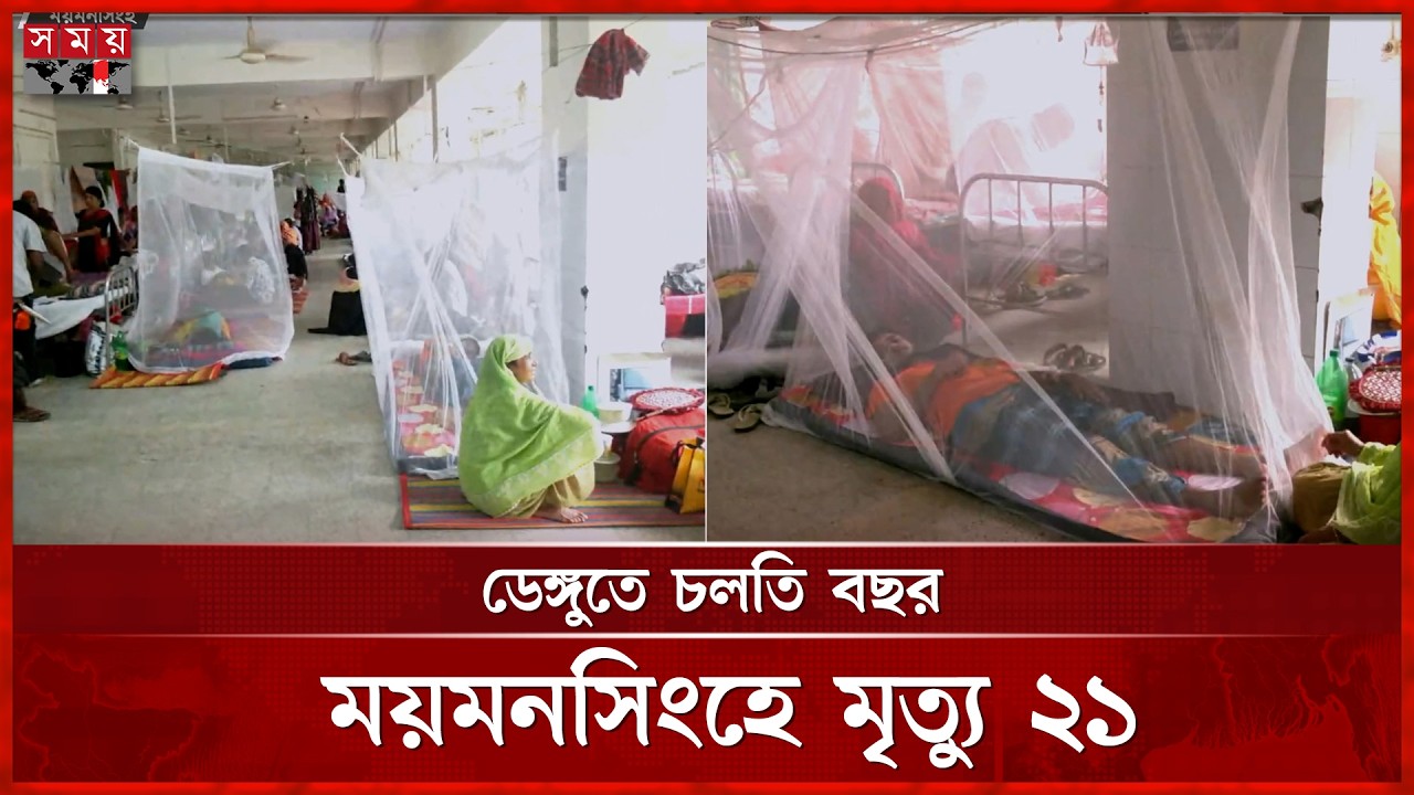 ময়মনসিংহ মেডিকেলে বাড়ছে ডেঙ্গু রোগীর চাপ, ২৪ ঘণ্টায় ভর্তি ৪০ | Dengue | Mymensingh News