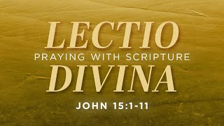 Lectio Divina: Praying with Scripture – John 15:1-11