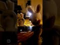 Crazy rabbits are Apaches!