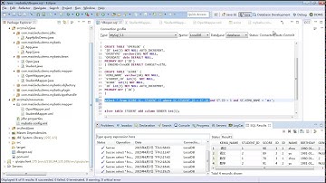 Java Web进阶 Mybatis 13 mybatismybatis 映射文件5 4part1