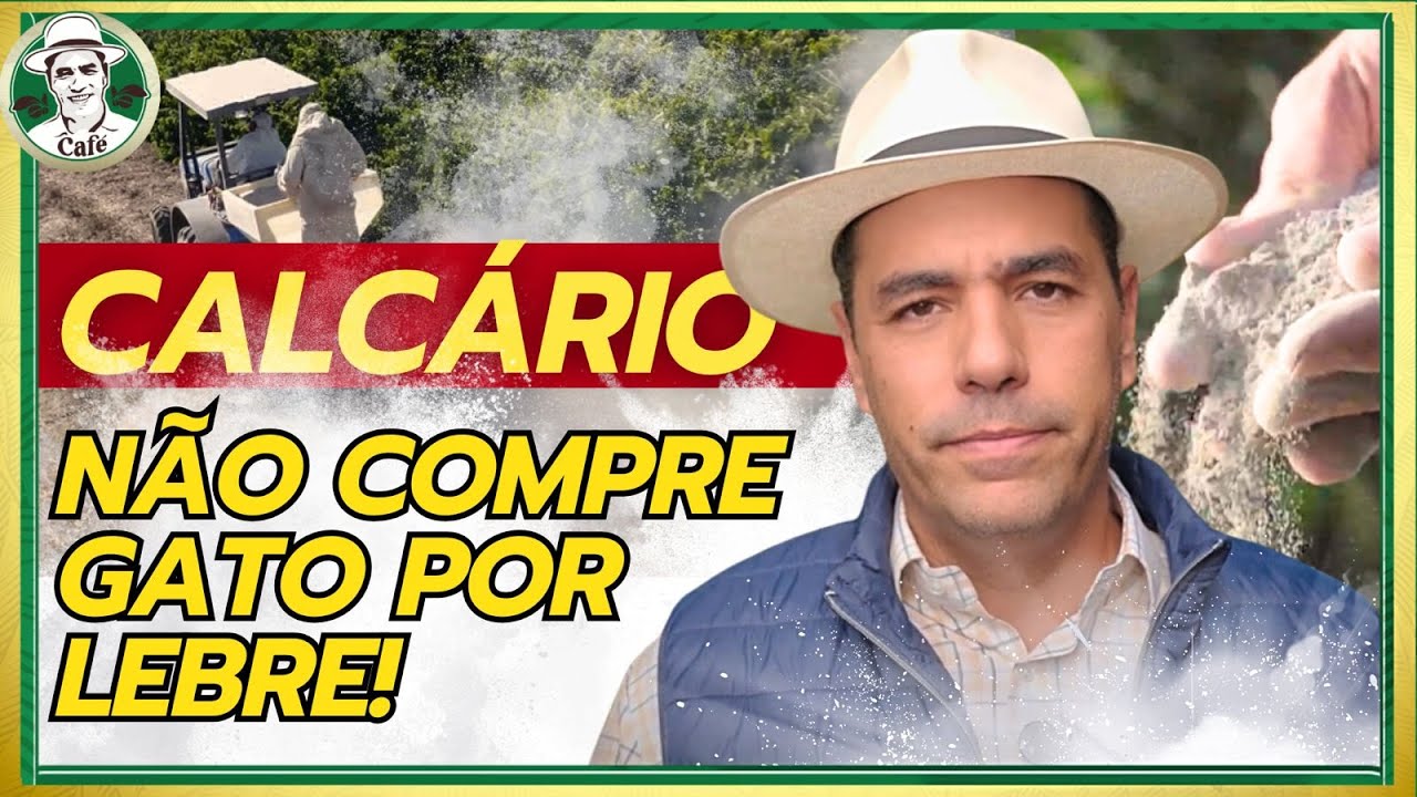 Calcário: vários fatores que você precisa entender.