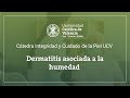 Cátedra Integridad y Cuidado de la Piel UCV: Dermatitis asociada a la humedad (DAI)