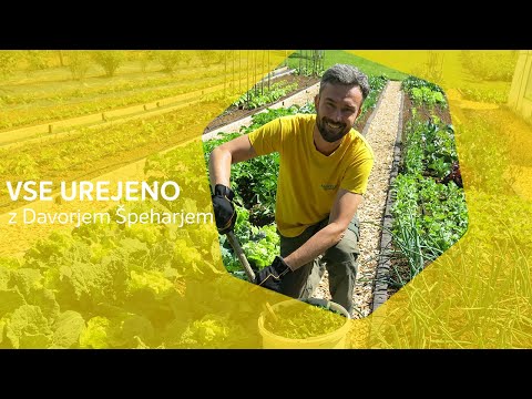 Video: Gnojilo Iz Koprive: Kako Pripraviti Infuzijo Za Prehrano Rastlin? Pravila Uporabe. Katere Rastline Lahko Zalivamo Z Zelenim Gnojem?