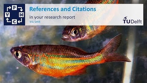 How to use references - Scientific writing - Mathematical Modelling - Mathematics - TU Delft