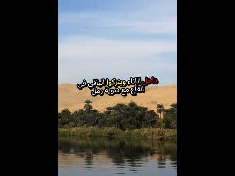 عبقرية المصريين القدماء في تنقية مياه النيل  المورينجا أفضل فلتر وحكاية العلم المبهر