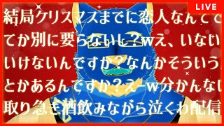 【飲酒雑談】クリスマスお一人様確定27歳男性。来年こそ恋人を作るために傾向と対策を練る。