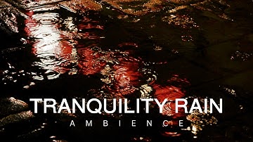 10 Hour | Rain Tranquility | Gentle Sounds for Sleep | Focus | Work | Calming Background Ambience
