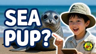 What Is a Seal? | Learn About Seals for Kids | Animals Made Easy