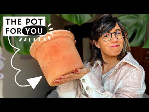 Selecting the BEST POT for your plants: Complete Guide