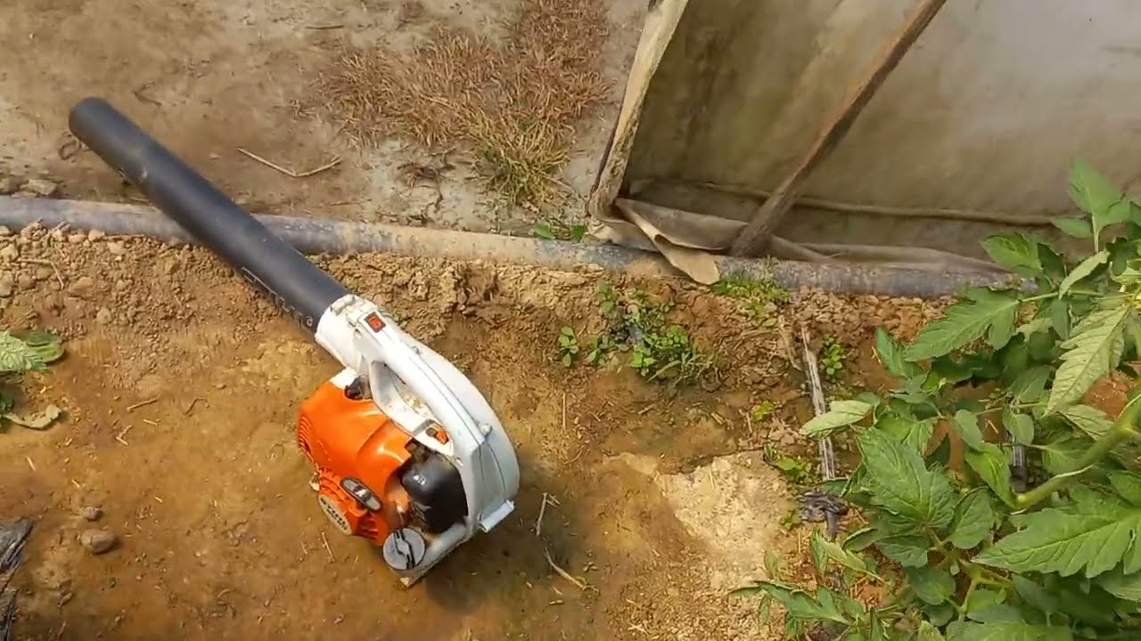 Pollination tomato with leaf blower party 2 (work smart not hard)