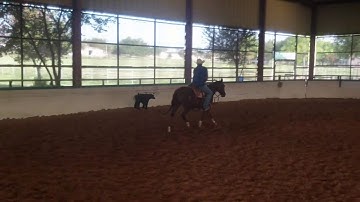 Lena May Hawk - Mechanical Cow Work