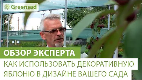 Как использовать декоративную яблоню в дизайне Вашего сада