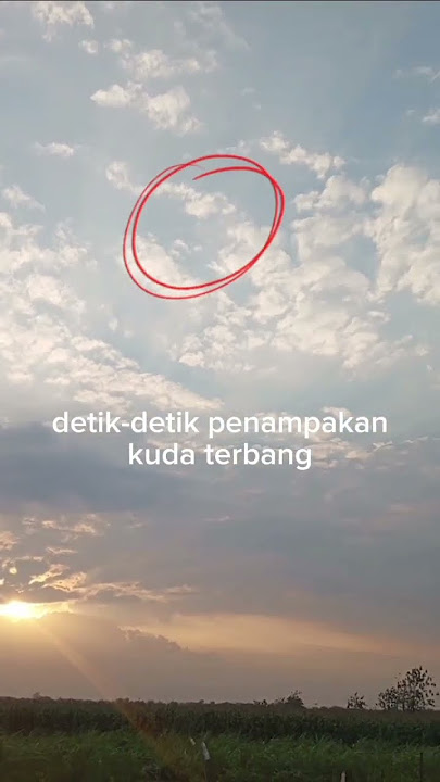 detik-detik penampakan kuda terbang😱😱 #kuda #detikdetik #kudaterbang