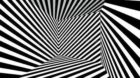 Zebra Room | Motion Graphics - Envato elements