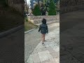 يا رب العالمين الله الله #shorts #انشودة