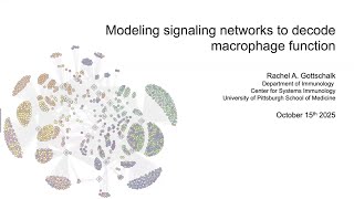 Modeling signaling networks to decode macrophage function
