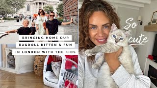 BRINGING HOME OUR RAGDOLL KITTEN, INTRODUCING HIM TO OUR BRITISH SHORTHAIRS & SUMMER FUN IN LDN! AD