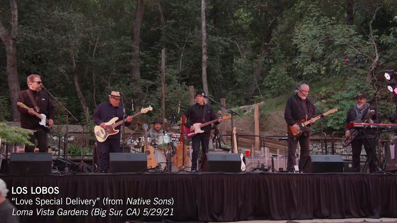 Los Lobos "Love Special Delivery" Live (Loma Vista Gardens)