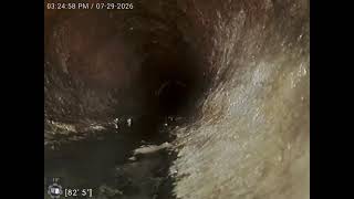 WO 355722120