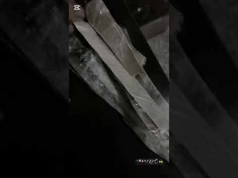 البيت الما فيه صايع حقو ضايع 