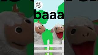 What Noise Does A Sheep Make? Baby Einstein Learning For Kids